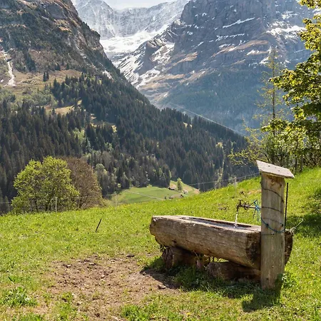 Apartmán Mountain View In Grindelwald